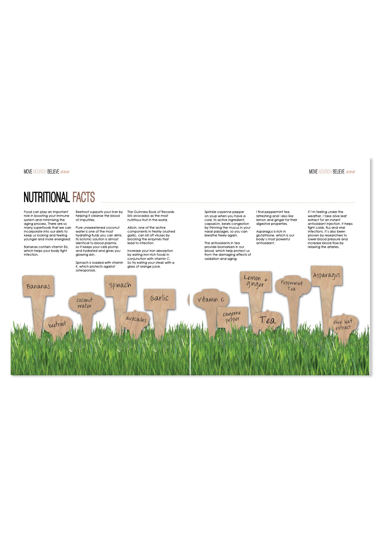 Lorna Jane Move Nourish Believe Paperback - Multi